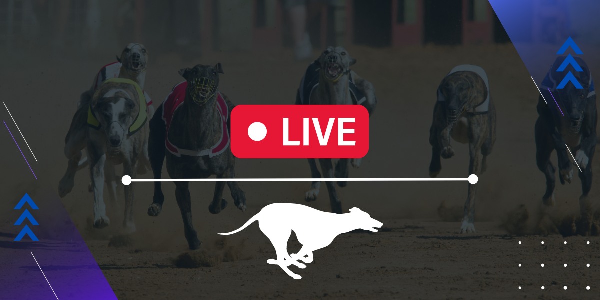 carreras de galgos apuestas