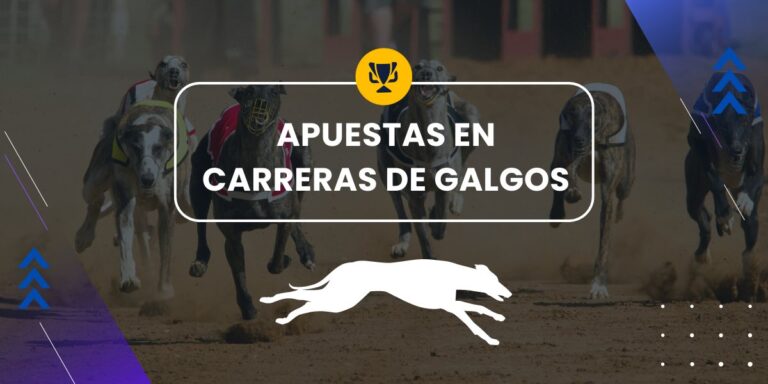 apuestas galgos - portada